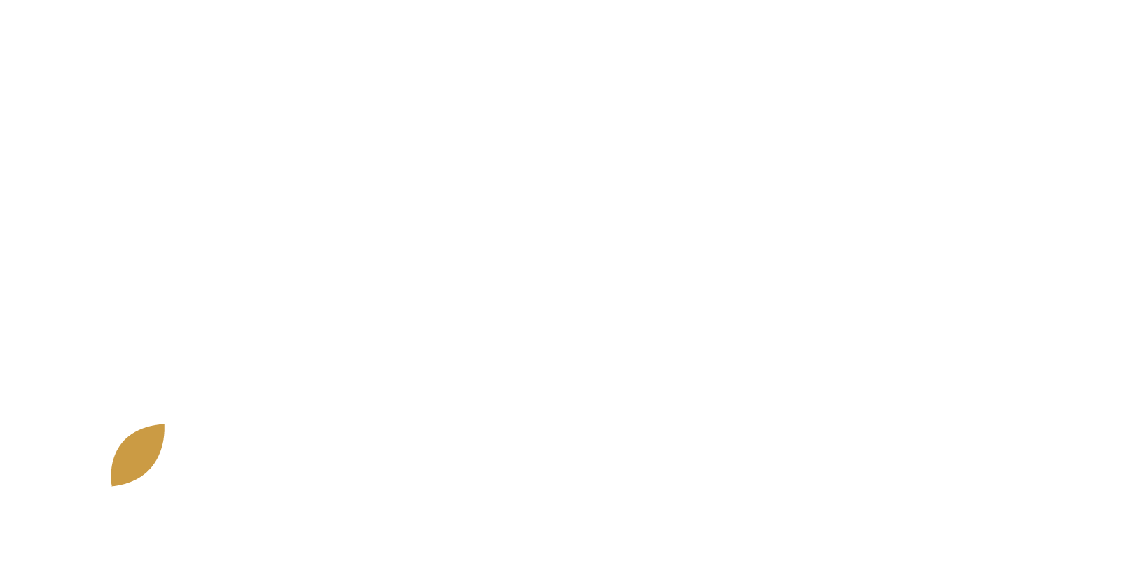 Antenne Limousin du Conservatoire Botanique National du Massif Central - Logo