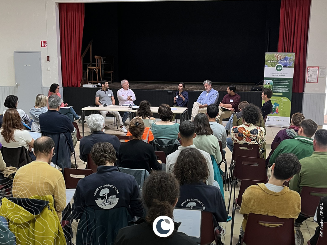 Photo de la table ronde réunissant producteurs et utilisateurs de végétaux sauvages d'origine locale