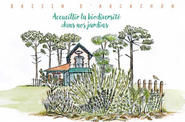Accueillir la biodiversité au jardin par le SIBA