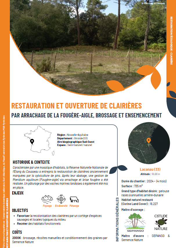 Restauration et ouverture de clairières par arrachage de la Fougère-aigle, brossage et ensemencement