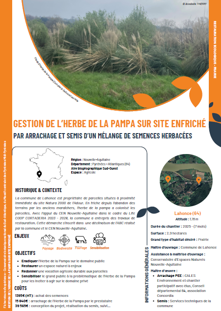 Gestion de l'herbe de la Pampa sur un site enfriché par arrachage et semis d'un mélange de semences herbacées
