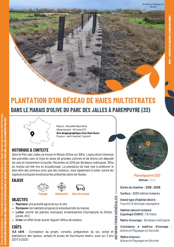 Plantation d'un réseau de haies multistrates dans le marais d'Olive du parc des Jalles à Parempuyre (33)