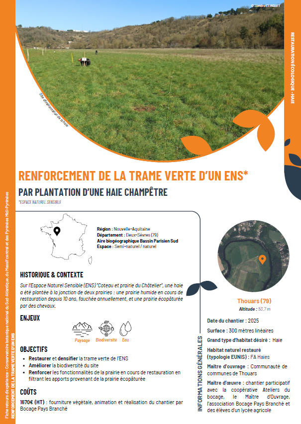 Renforcement de la trame verte d'un ENS par la plantation d'une haie champêtre