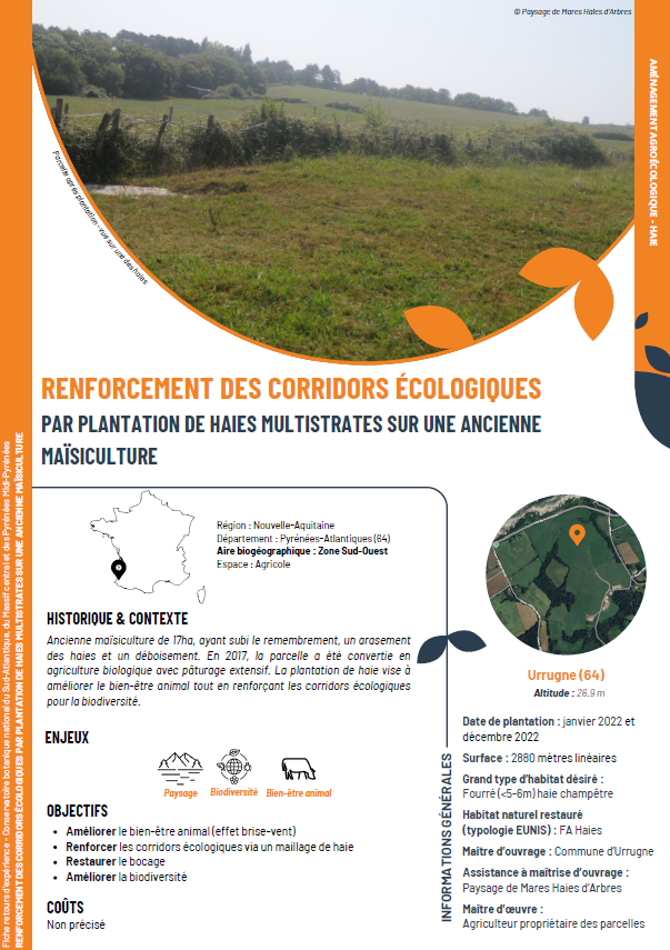 Renforcement des corridors écologiques par plantation de haies multistrates sur une ancienne maïsiculture