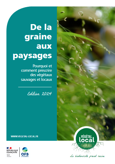 De la graine aux paysages, pourquoi et comment prescrire des végétaux sauvages et locaux