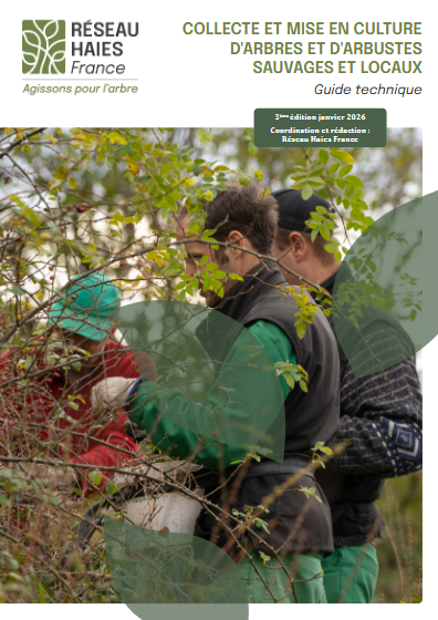 Guide technique Collecte et mise en culture d’arbres et arbustes sauvages et locaux - Réseau Haies France 2026